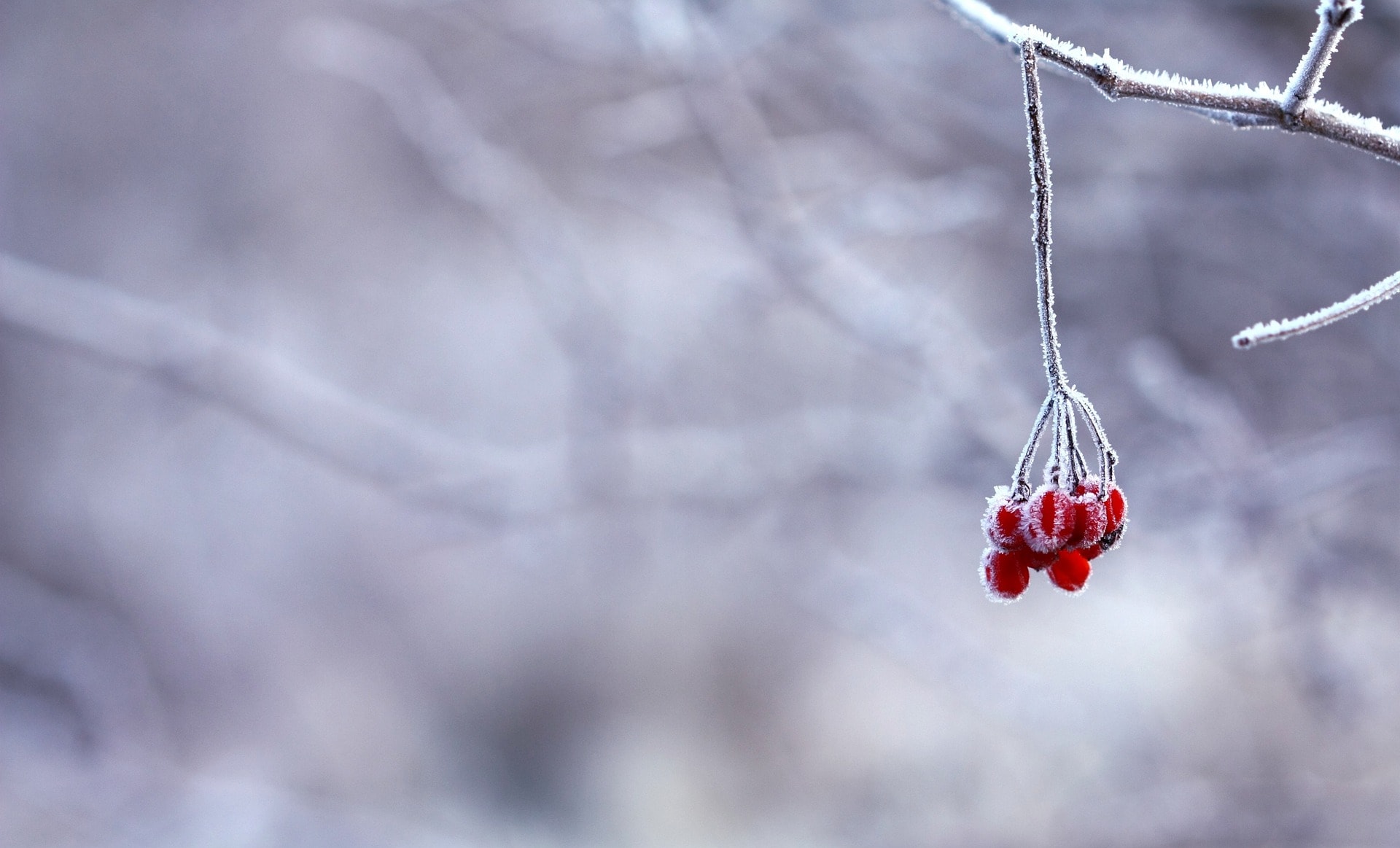 Frozen g74364fa0c 1920 2