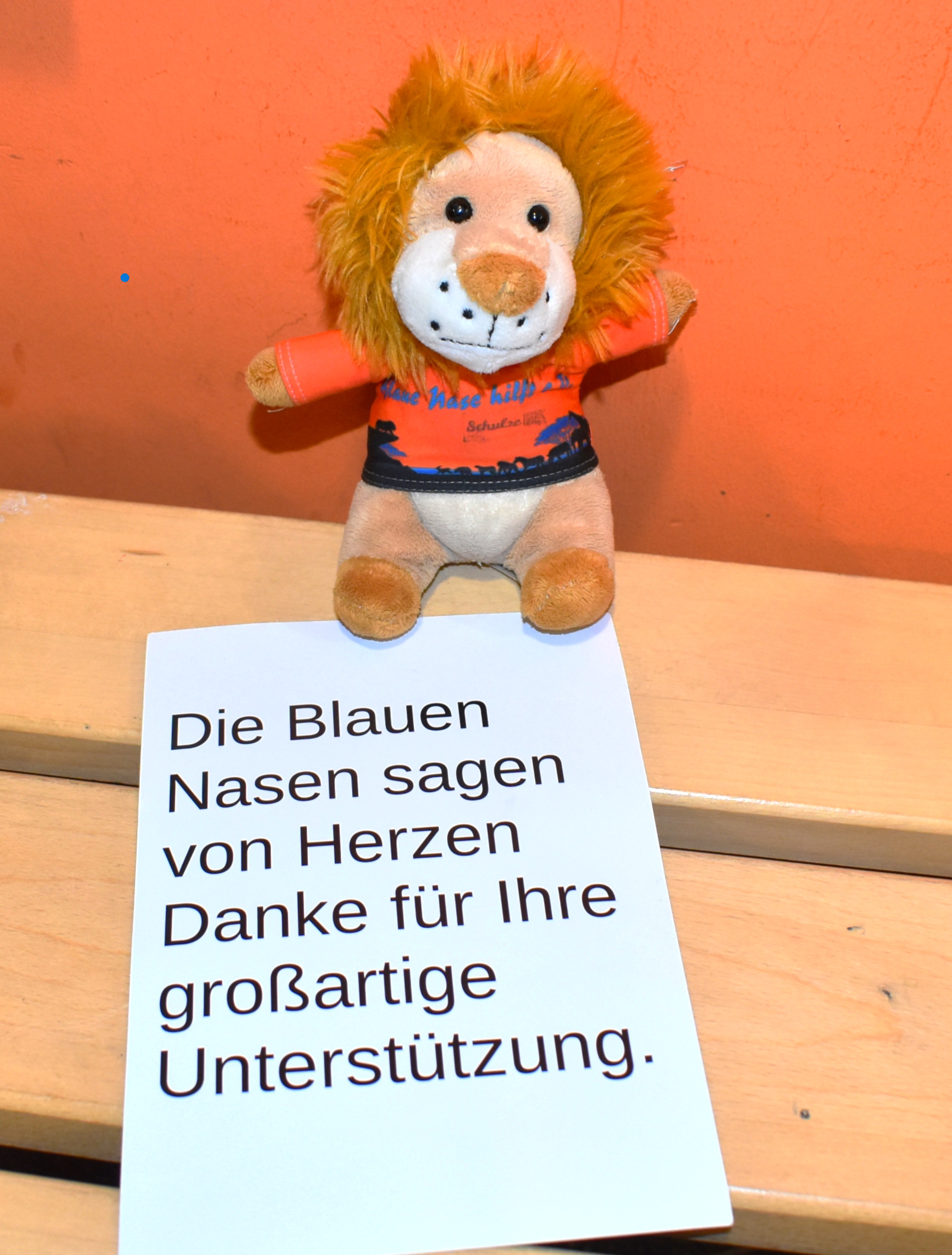 Ein Plüschlöwe mit orangefarbener Mähne hält ein Schild mit Dankesbotschaft auf einer Holzbank.