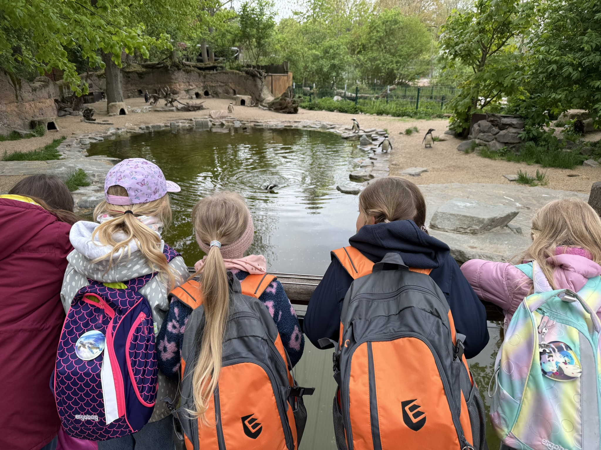 Fünf Kinder mit bunten Rucksäcken betrachten interessiert Pinguine am Teich.