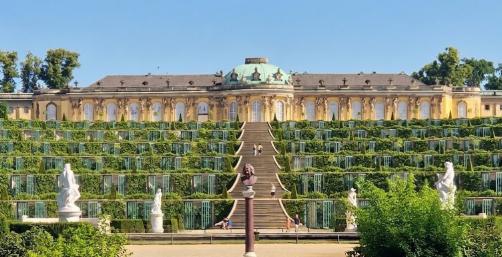 Schloss Sanssouci in Gelb mit terrassierten Weinbergen und Statuen
